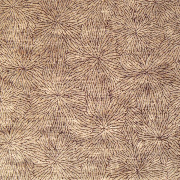 Fleurs d'Eau Muscade