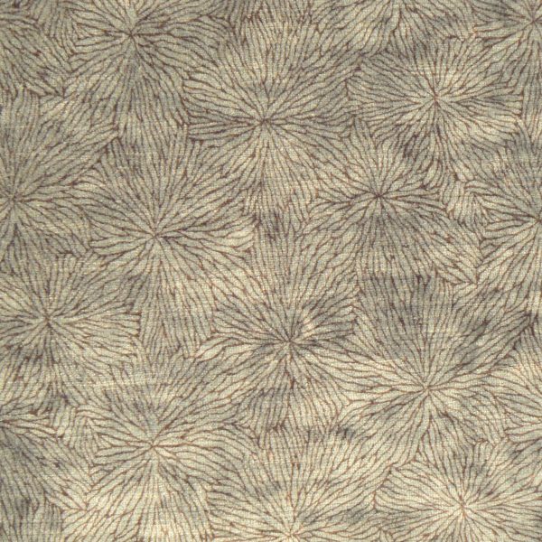 Fleurs d'Eau Céruse