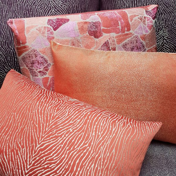 Ambiance Fungia Corail Ambiance Fungia Corail