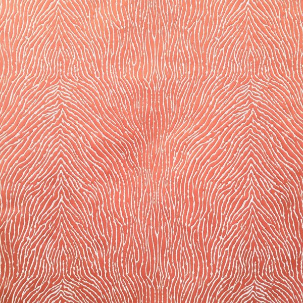 Ambiance Fungia Corail Ambiance Fungia Corail