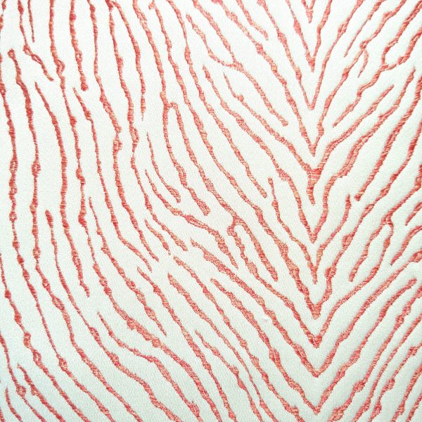 Fungia Corail coloris Bisque Fungia Corail coloris Bisque