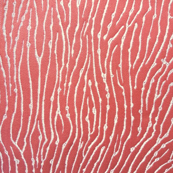 Fungia Corail coloris Corail