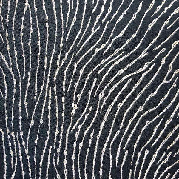 Fungia Corail coloris Noir Fungia Corail coloris Noir