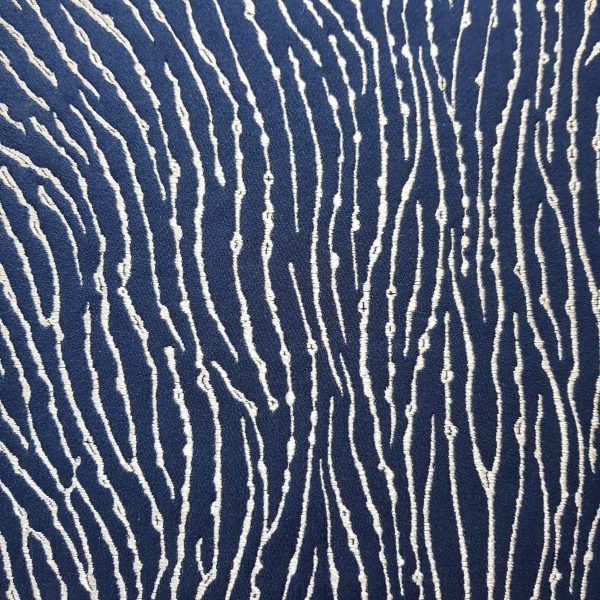 Fungia corail coloris Marine Fungia corail coloris Marine