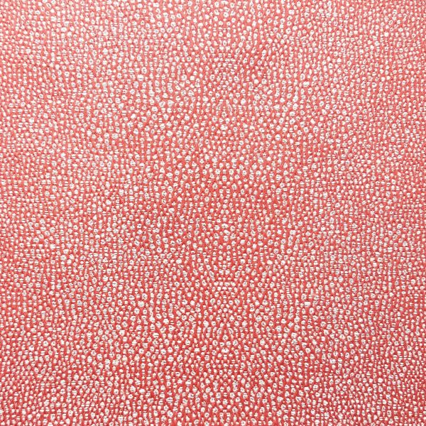 Grain de Galuchat Coloris Corail Grain de Galuchat Coloris Corail