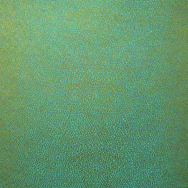 Grain de Galuchat coloris Lagon Grain de Galuchat coloris Lagon