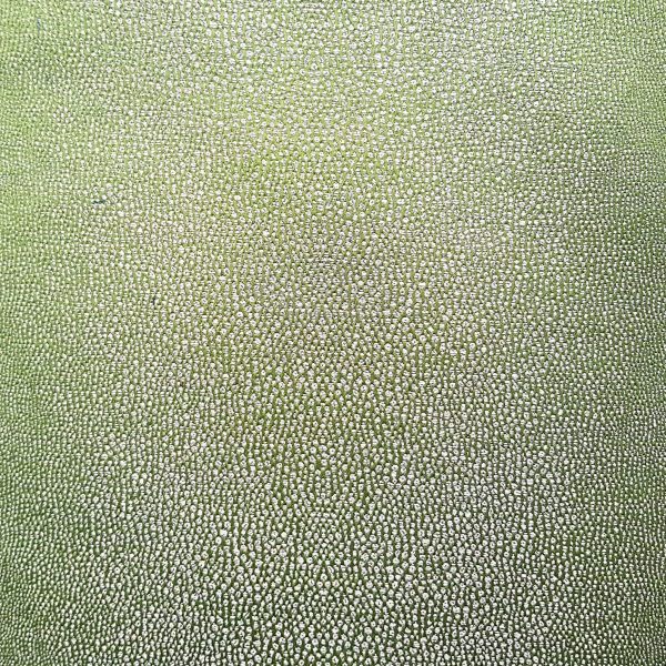 Grain de Galuchat coloris Olive Grain de Galuchat coloris Olive